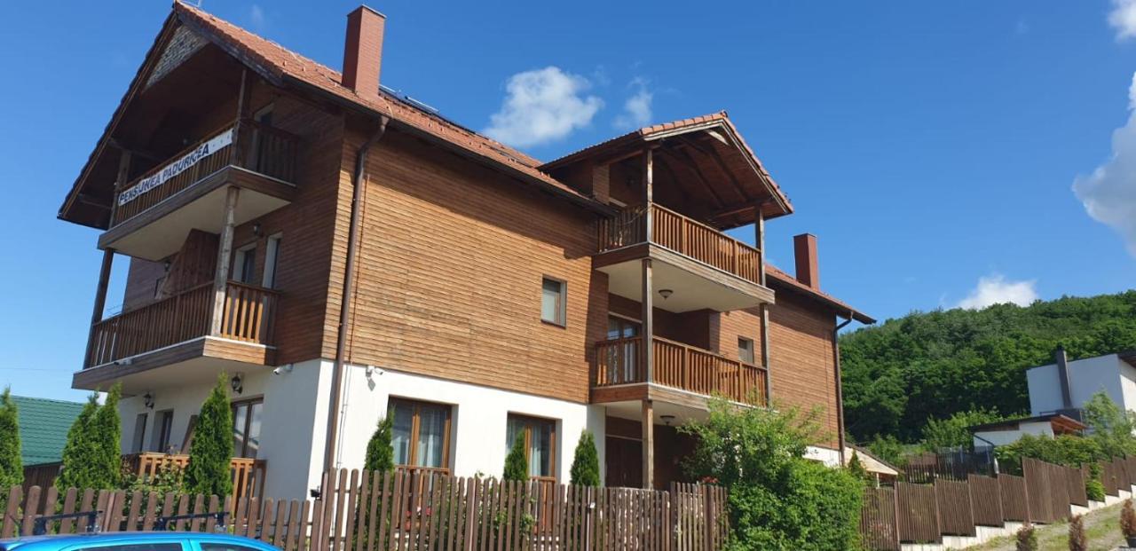 Casa Paduricea Hotel Dezmir Екстериор снимка