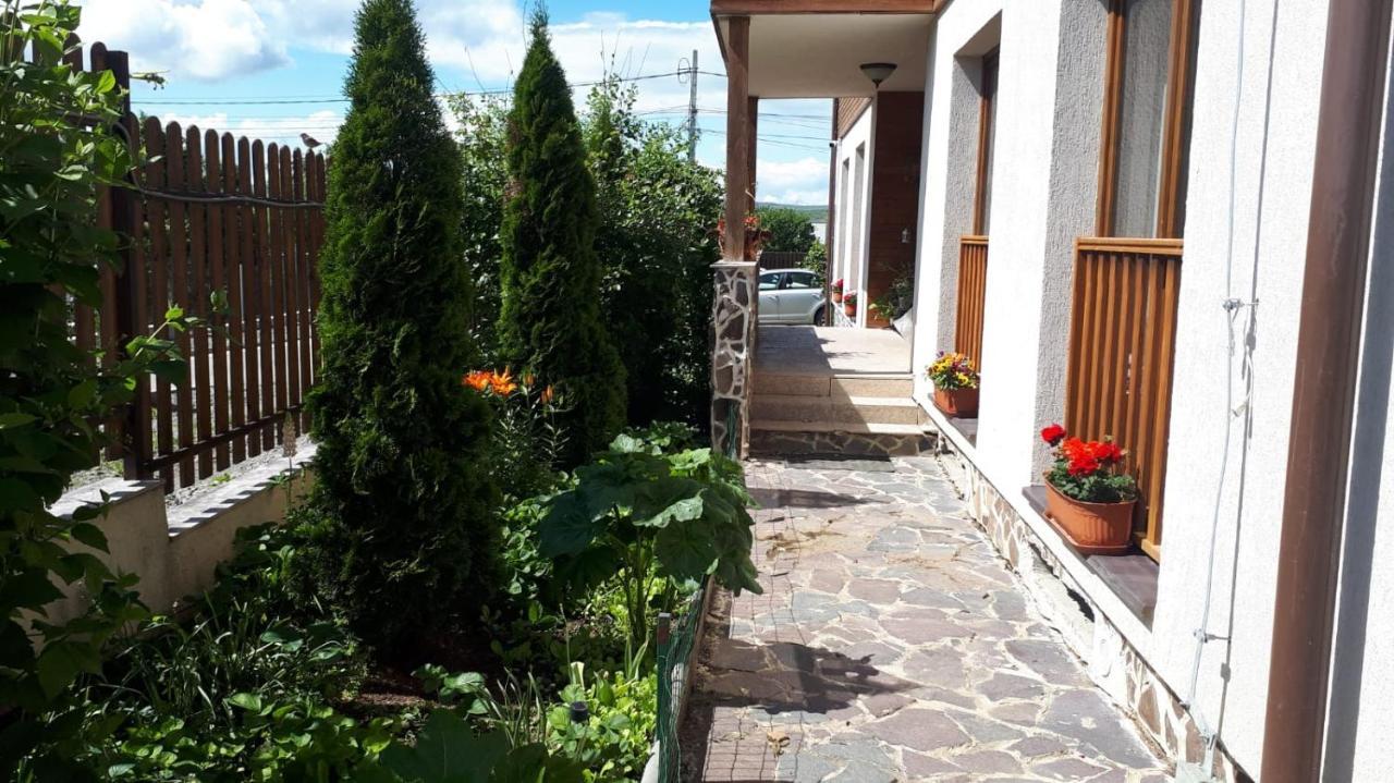 Casa Paduricea Hotel Dezmir Екстериор снимка