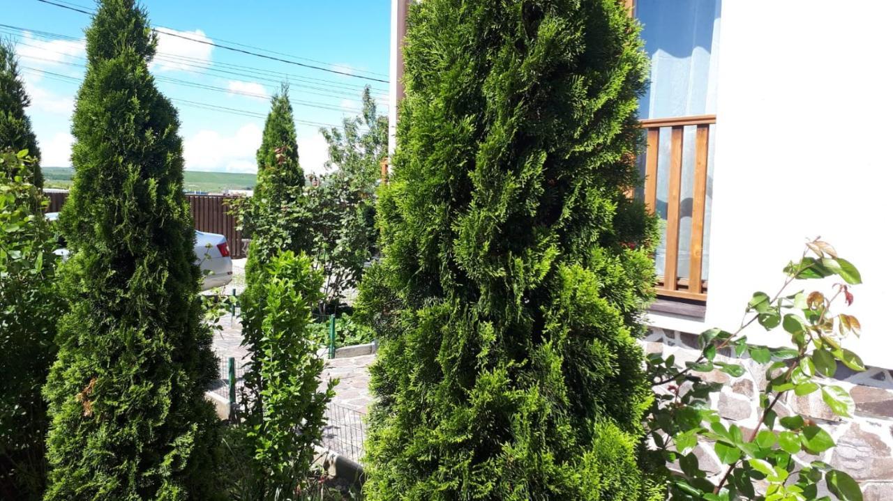 Casa Paduricea Hotel Dezmir Екстериор снимка