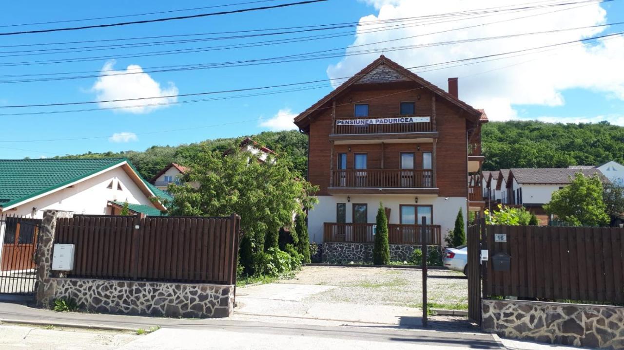Casa Paduricea Hotel Dezmir Екстериор снимка