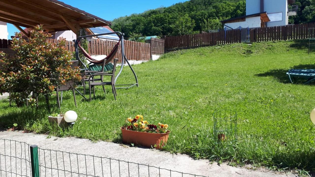 Casa Paduricea Hotel Dezmir Екстериор снимка